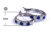 Beautiful Blue and Silver zircon Earrings