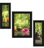 SAF Synthetic Landscapes Framed Painting, Lotus, 22.5 x 13.5 inch-Multicolour