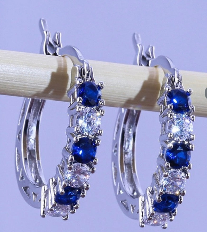 Beautiful Blue and Silver zircon Earrings